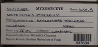 Image Associated With the Occurence